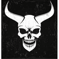 DI666 emblem