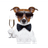 LFAUE emblem