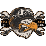 ST-SG emblem