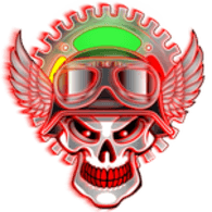 STLT emblem