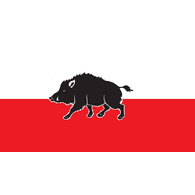_DZIK emblem