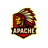 APACH emblem