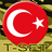 T-SFT emblem