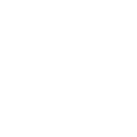 VOG emblem