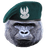 REGIN emblem