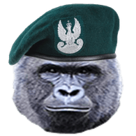 REGIN emblem