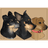 BEFS emblem