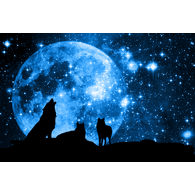LUNAS emblem