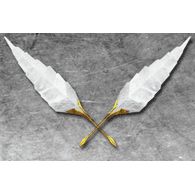 SHSE9 emblem