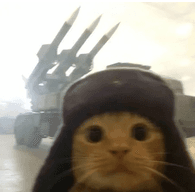 GATO emblem