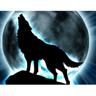 PLBN emblem