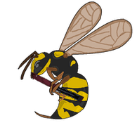 KOSSA emblem
