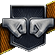 IB3BI emblem