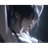 MS_FR emblem