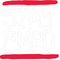 STAYZ emblem