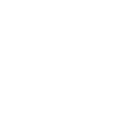SLGN emblem