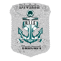 R11S emblem