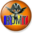 ROMT emblem