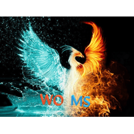 WOMS emblem