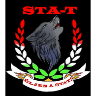 STA-T emblem