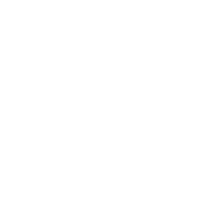 ROKY emblem