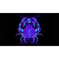 _SIR_ emblem