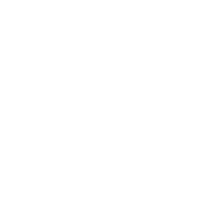 SB_UA emblem