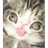 ON_MA emblem