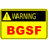 BGSF emblem