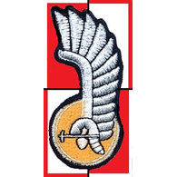 11DKP emblem
