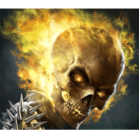 VGT emblem