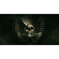 TNS emblem