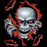 QVER emblem