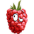 B0HEM emblem