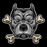 TDO emblem