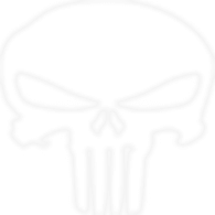 R41N emblem