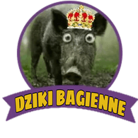 DZ-B emblem