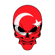 _ASI_ emblem