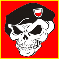 DW-KS emblem