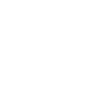 RVLRY emblem
