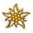 A-N-C emblem