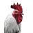 K_H_S emblem