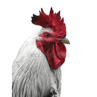K_H_S emblem