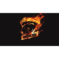 VSP emblem