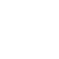 MINS emblem