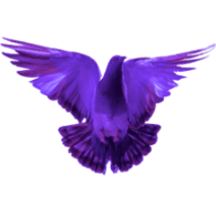 USKIL emblem