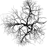 VEIN emblem