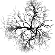 VEIN emblem