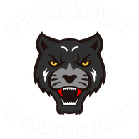 FVG emblem