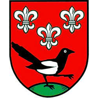 NAMLO emblem